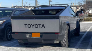 Dueños de distintos modelos de Tesla modificaron sus vehículos por la figura de Elon Musk.