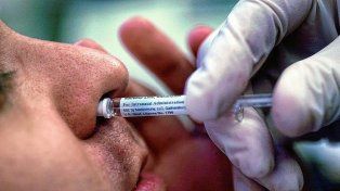 Vacunas anti-Covid que podrían administrarse por vía oral y nasal