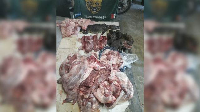 Apresaron a cazadores furtivos con yacarés, nutrias y carpinchos