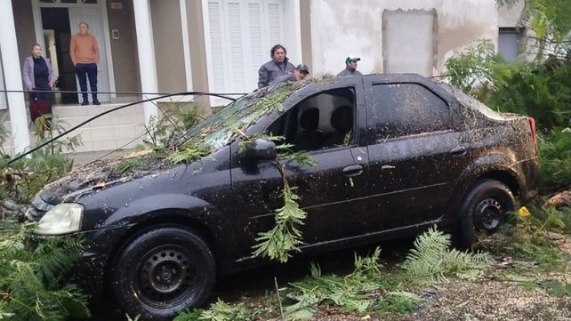 Temporal en Paraná provoca anegamientos y caída de árboles