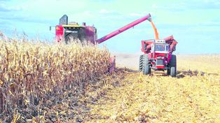 Un 74% de los productores piensa que su situación será mejor que la actual, por buenas perspectivas climáticas.