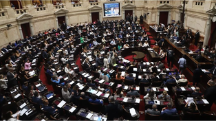 El ambientalismo colectivo como respuesta al proyecto de Ley Ómnibus