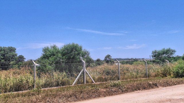 En un predio del Parque Industrial avanza un yuyal