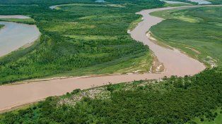 El Parque Nacional El Impenetrable, en Chaco, está entre los ríos Teuco-Bermejo y Bermejito. De a poco se perfila como uno de los mejores destinos para observar grandes animales, como tapires, pecaríes y osos hormigueros.