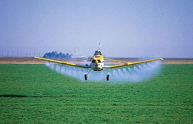 Para que se convierta en ley deberá pasar aún por el Senado.