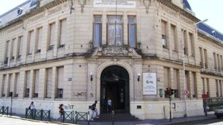 Por acoso y violencia de género