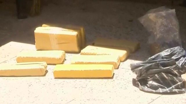 Una mujer de 89 años fue al patio en busca de paltas y halló nueve panes de marihuana