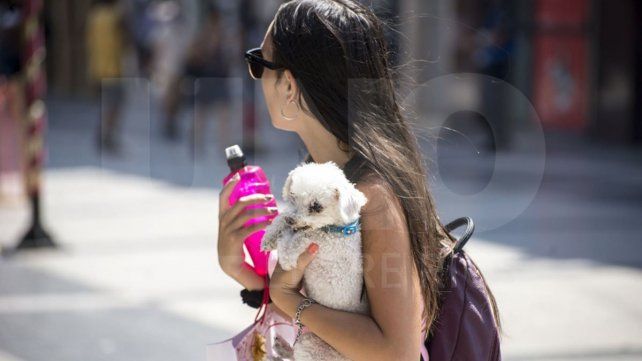 La década de 2015 a 2025 fue la de mayor calor jamás registrada. La década de 2015 a 2025 fue la de mayor calor jamás registrada.