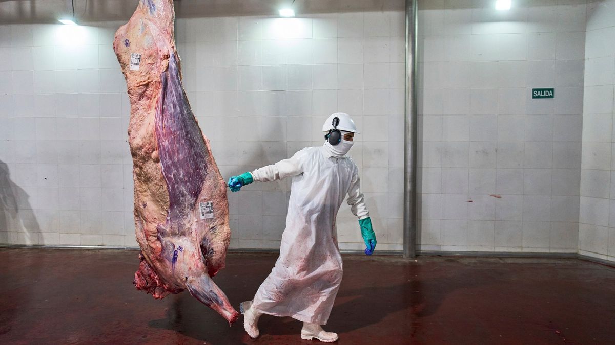 El consumo de carne, deprimido: está en el nivel más bajo en 20 años y en Rosario hay un boom del cerdo