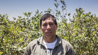 El Renatre aumentó el monto de la prestación por desempleo para trabajadores y trabajadoras rurales.
