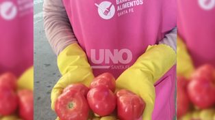 El Basfe contará con un espacio propio para el recupero de frutas y verduras
