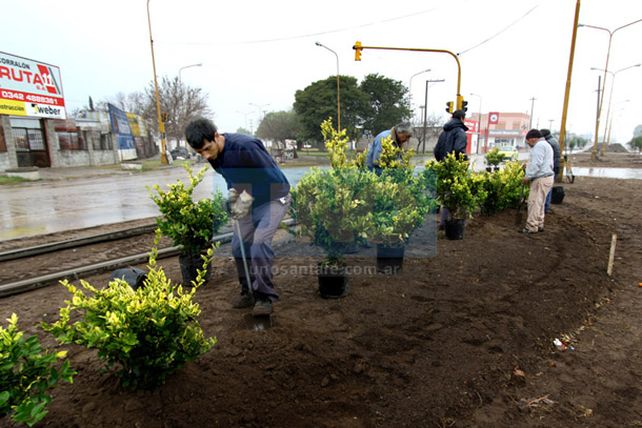 Una obra esperada: comenzó la remodelación de avenida Blas Parera