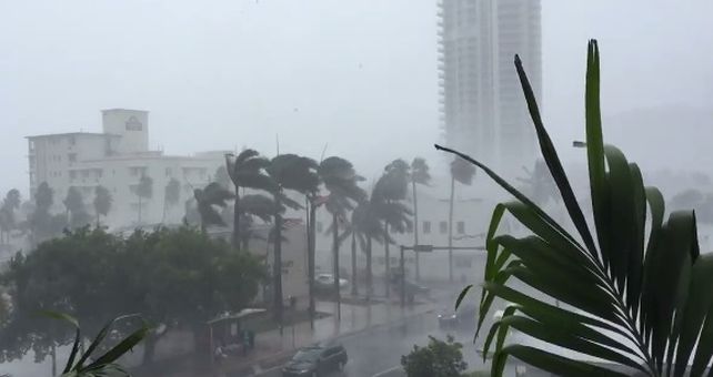 Entrerrianos en Miami: Las calles están vacías, no hay combustible ni luz