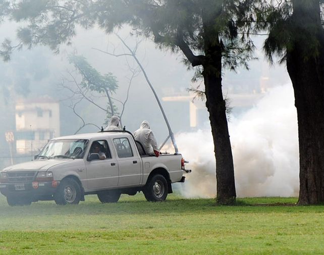 La Dirección de Control de Vectores comenzó ayer las tareas de fumigación en parques de la ciudad y en cercanías del domicilio del hombre afectado por la enfermedad. (Foto: A. Celoria)
