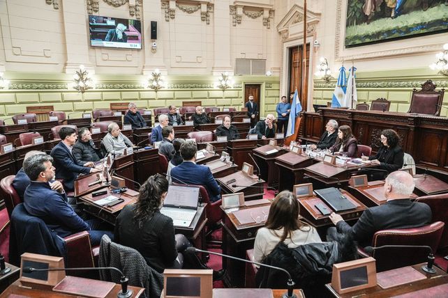 Reforma constitucional: la Convención sesionará la semana que viene para avanzar en el reemplazo de Oliveras