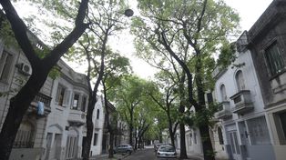 El pasaje Monroe, una arteria de construcciones emblemáticas ideadas por el arquitecto Hernández Larguía.