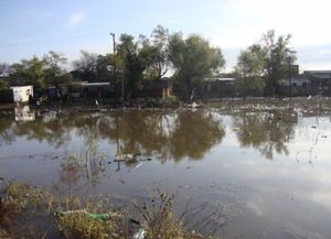 Hay un total de 95 personas evacuadas por la crecida del Paraná