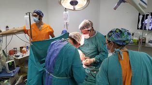 La participación provincial en el panorama trasplantológico también es destacada: los órganos ablacionados en efectores santafesinos permitieron 189 trasplantes.