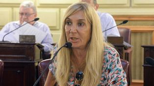 Una exdiputada provincial cobra más de $11 millones de jubilación y no quiere pagar el aporte solidario de la reforma previsional