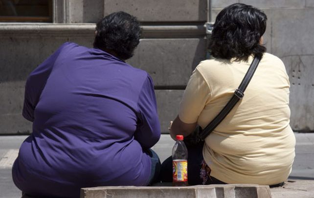 En foco. Los aditivos son utilizados para la elaboración de alimentos y refrescos de todas las marcas.