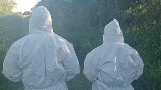 Hallaron un cuerpo en Roldán e investigan si es el hombre desaparecido en San Lorenzo