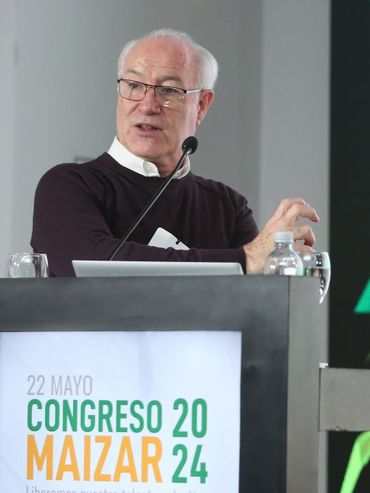 La cadena del maíz podría exportar u$s14.000 millones más