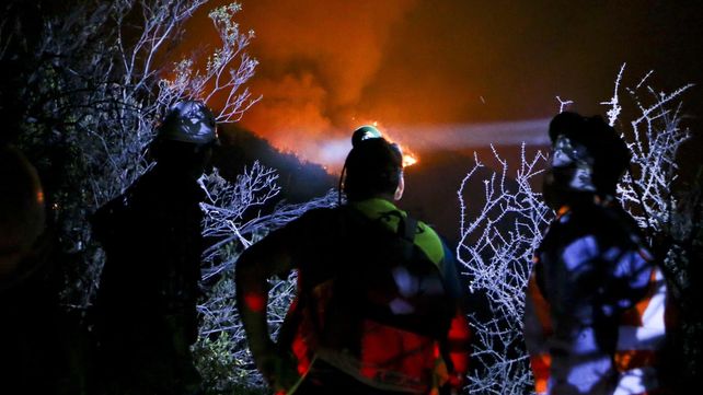 Las imágenes más estremecedoras de los incendios forestales en Chile