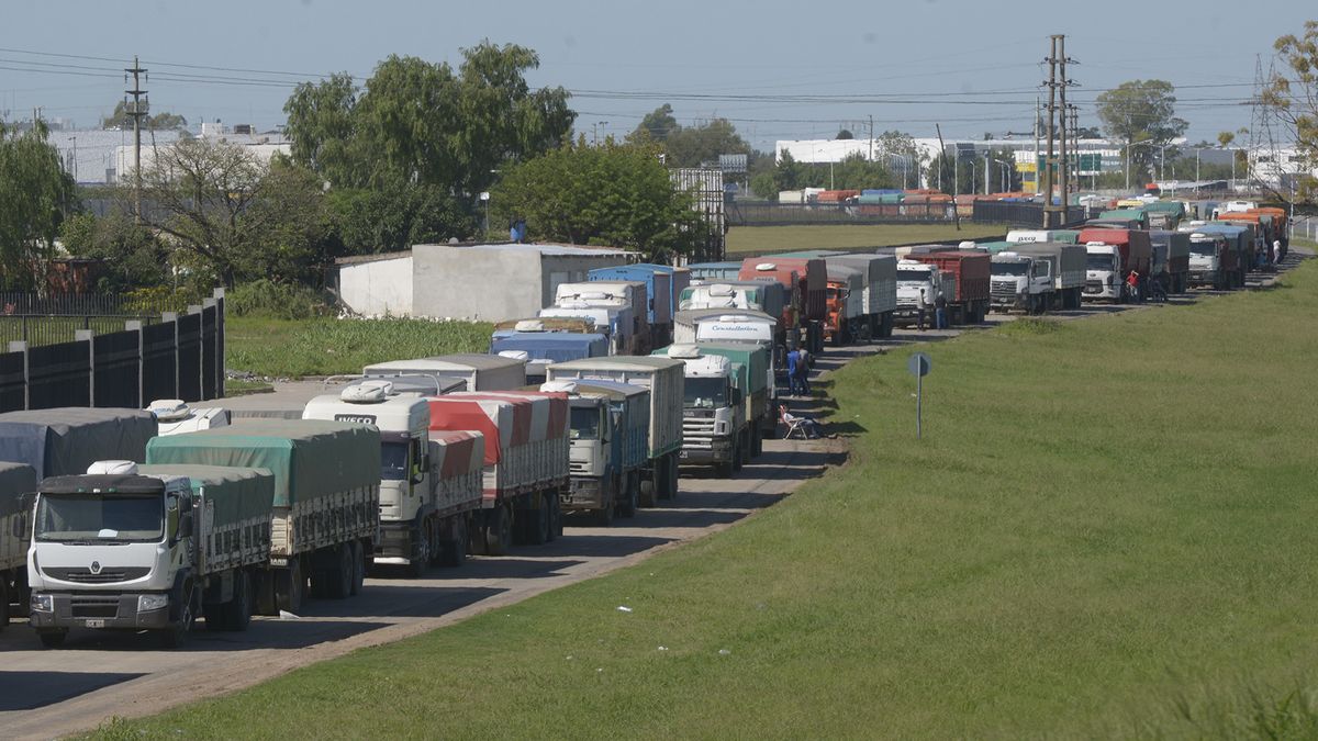 Paro del transporte de granos: advierten sobre los problemas de logística  que afectan en los puertos
