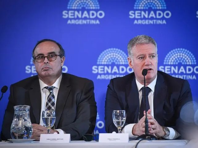 Pablo Bertuzzi y Pablo Yadarola durante la audiencia pública en el Senado de la Nación.