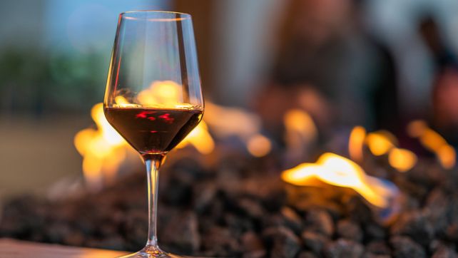 Con producción y exportaciones argentinas en alza, se celebra el Día Mundial del Malbec
