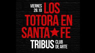 Los Totora llegan a Santa Fe para festejar sus 20 años con la música