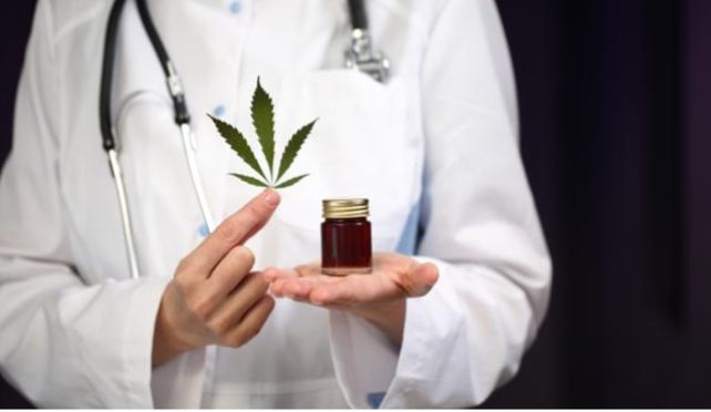 El municipio de Tigre regulará el uso y cultivo del cannabis con fines medicinales