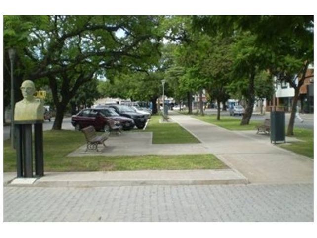 Avenida Freyre se viste de fiesta