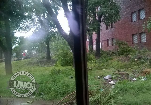 Terrible temporal de lluvia y viento generó graves destrozos en Paraná