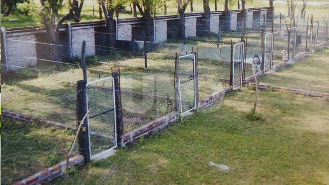 Sugerencia. Asesorarse bien con los profesionales veterinarios que brindarán la mejor información.