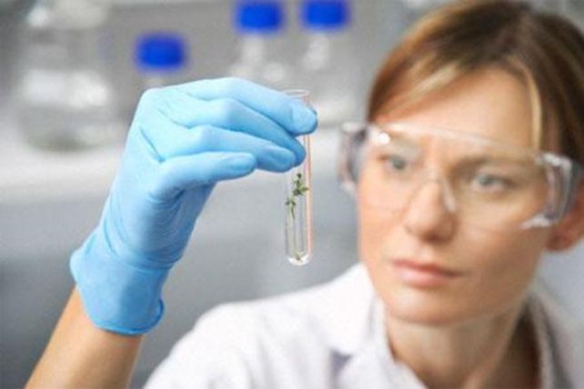 La UNL y la UBA mejorarán los ensayos preclínicos para medicamentos