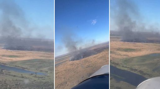 Incendios en las islas: en cuatro días se consumieron más de 1.700 hectáreas