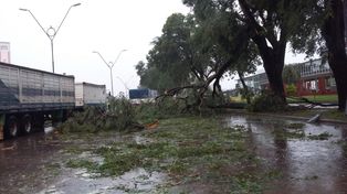 Las imágenes más impactantes del fuerte temporal