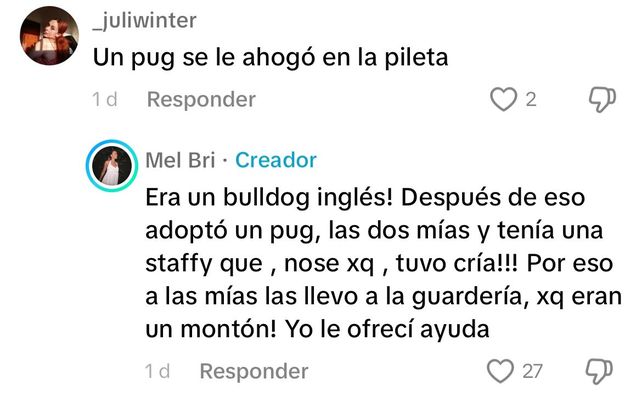 Melina Brizuela en los comentarios de su video 