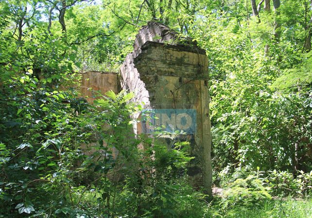 Restos de la casona embrujada de Tezanos Pinto.  Foto UNO/Juan Ignacio Pereira