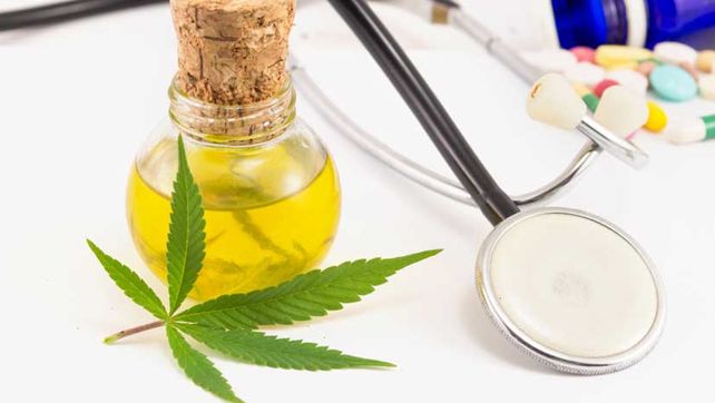 Avanza la ley que permite el cultivo de cannabis con fines terapéuticos
