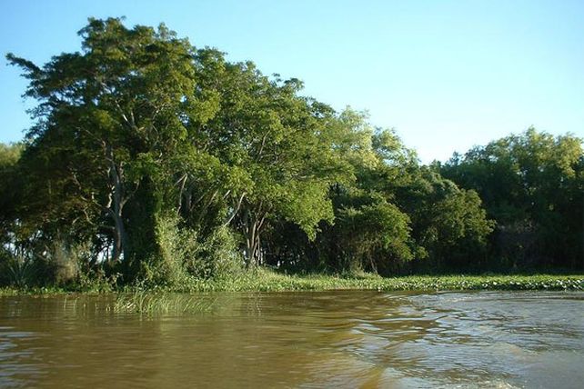 Adhieren al ordenamiento de bosques nativos santafesinos