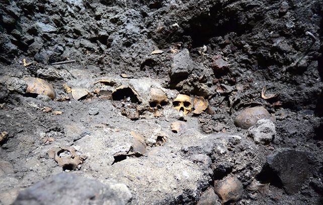 El tzompantli encontrado corresponde a la sexta etapa constructiva del Templo Mayor (1486-1502).