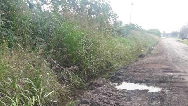 Dengue puro hay acá