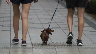 El tiempo en Rosario: un miércoles parcialmente nublado con máxima de 27°