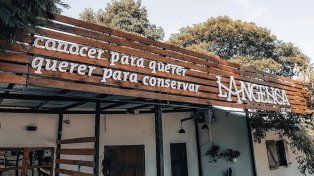 La Angélica es finalista por Argentina en un concurso internacional.