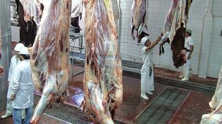 UNO testimonió a Omar Gareis, Secretario General del Sindicato de la Carne en Paraná.