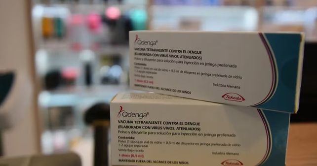 Dengue: quiénes recibirán la vacuna gratis desde este lunes en Santa Fe