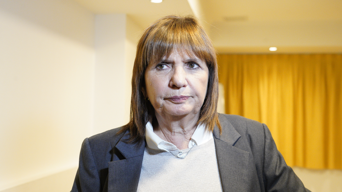Bullrich, preocupada por la "velocidad" de la recuperación económica