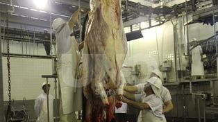 Crece la incertidumbre acerca del posible aumento de la carne